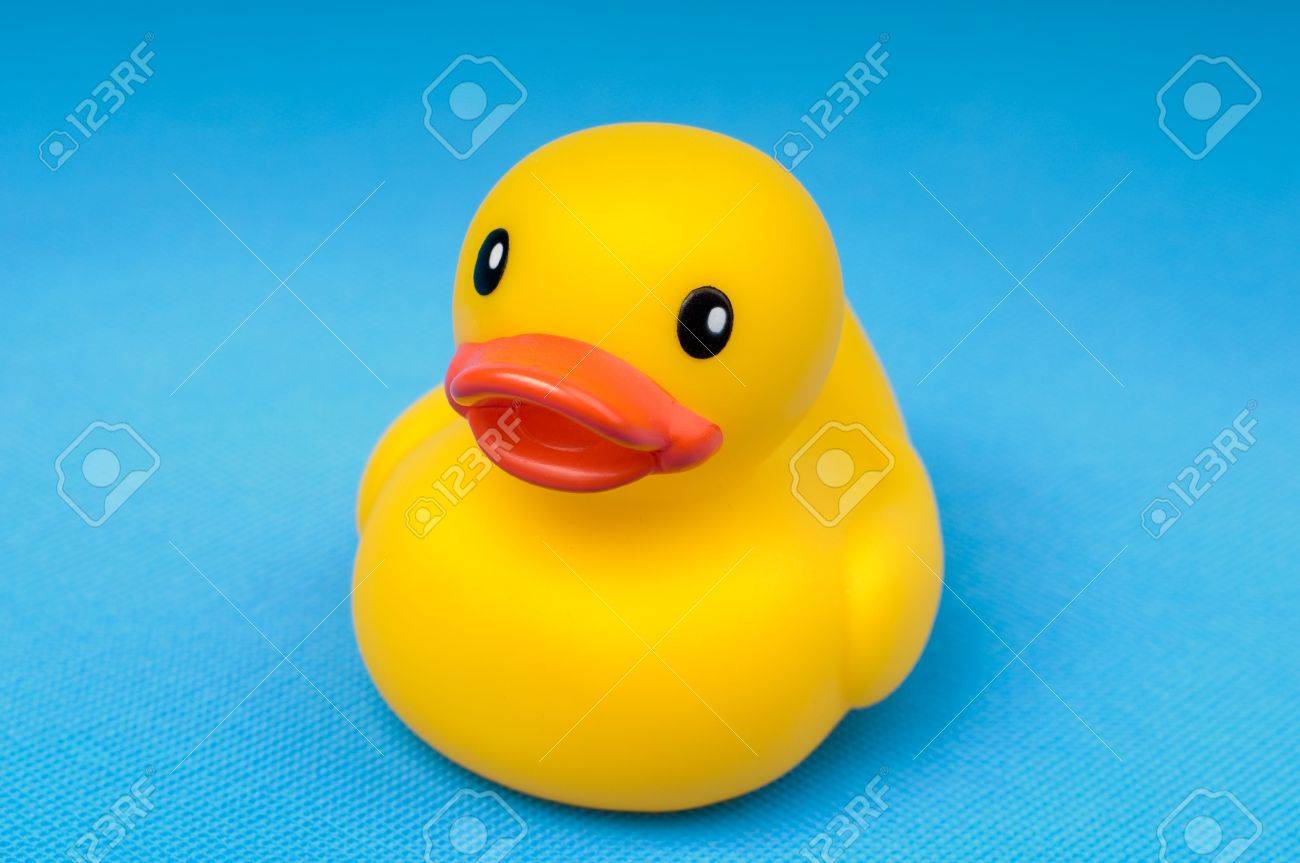 blue rubber duck