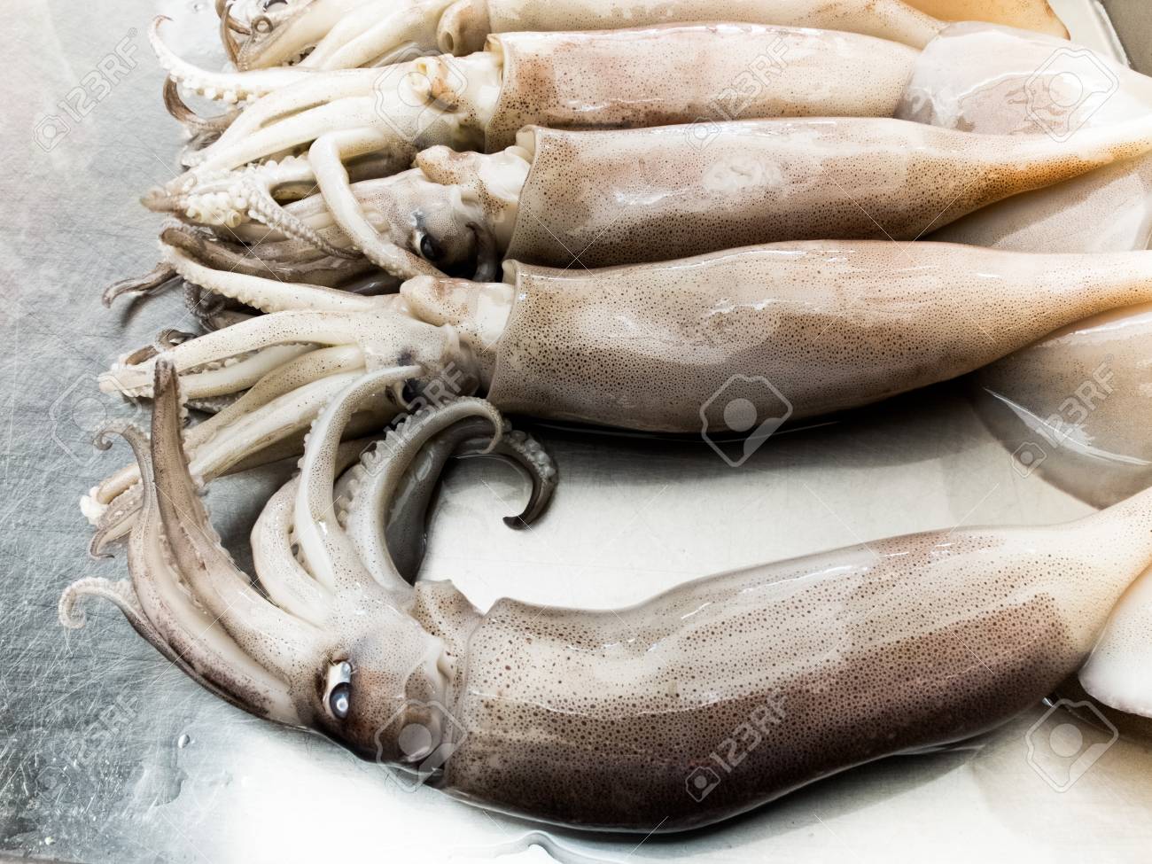 Market. Outdoor (squid, Seafood, Nature 