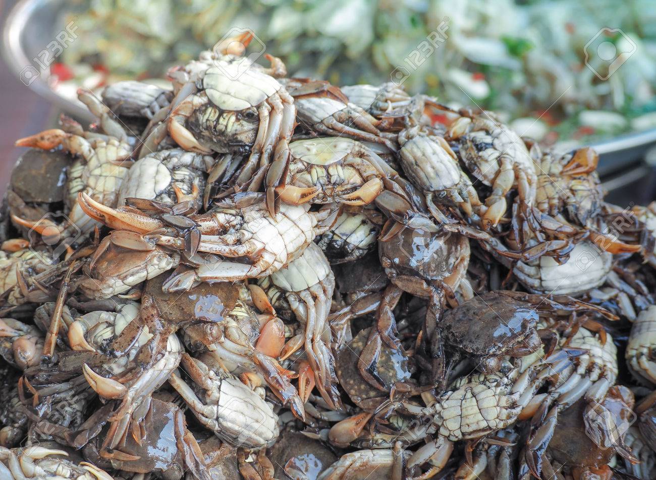 市場で新鮮な塩漬けカニ バンコク タイ タイ料理 の写真素材 画像素材 Image
