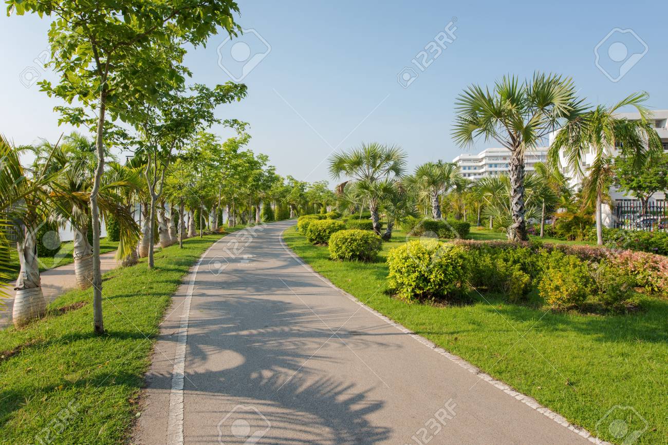 landscape with jogging track