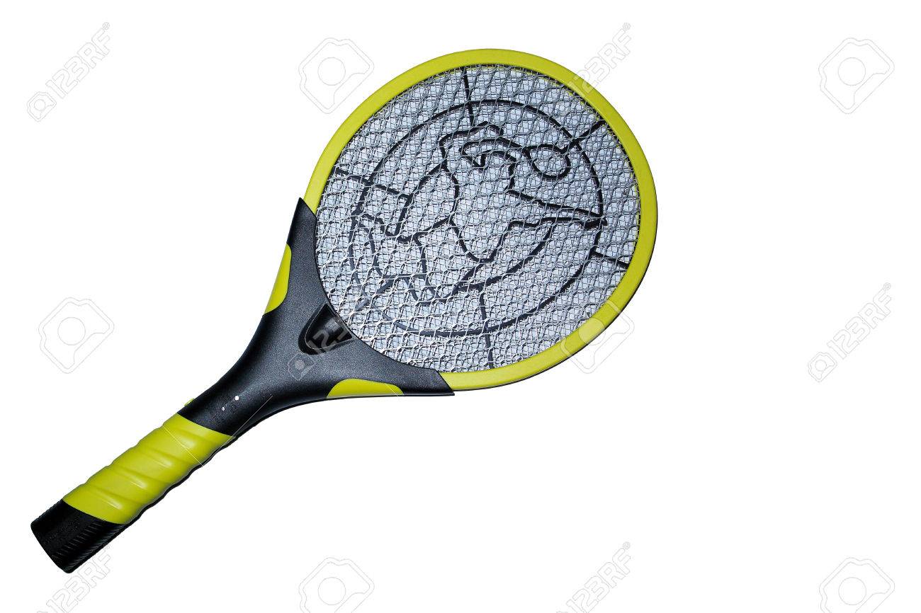 Mosquito Killing Bat In White Background Stock Photo Picture And