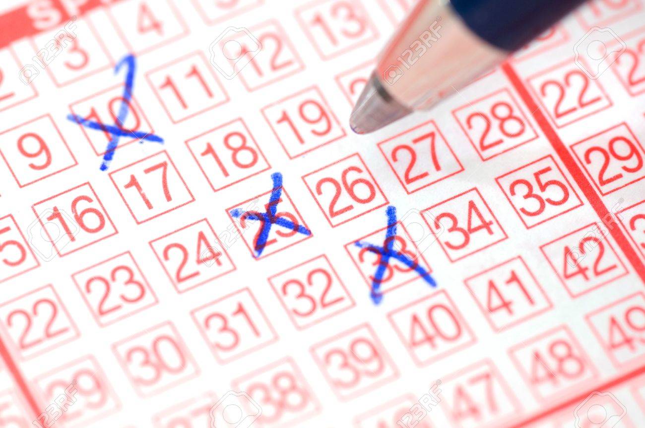 lotto ticket numbers