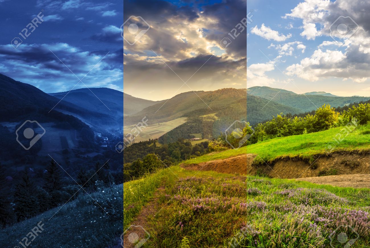 village on hillside meadow with forest in mountain Free Photo