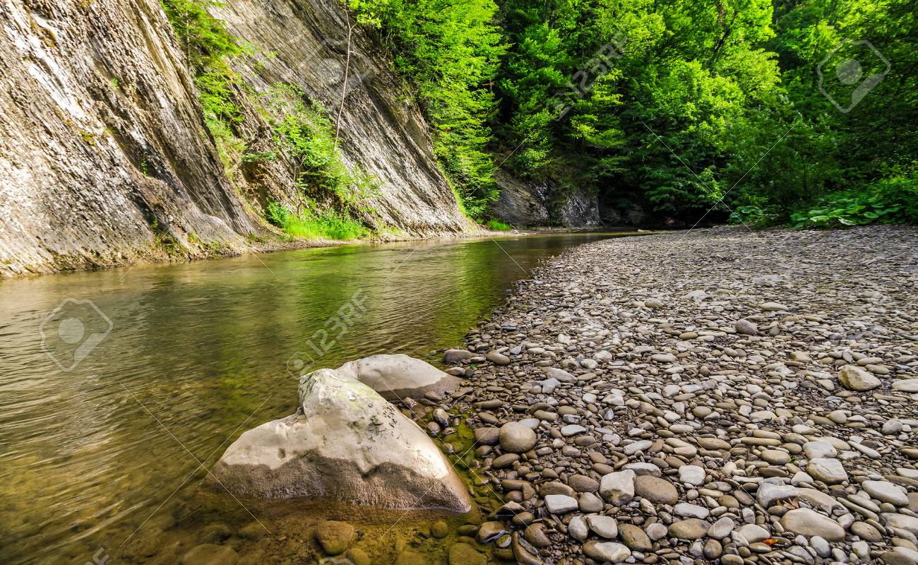 Rocky Shore Of Calm Forest River. Fresh Summer Nature Background Stock  Photo, Picture and Royalty Free Image. Image 82309093., image size:1300x800
