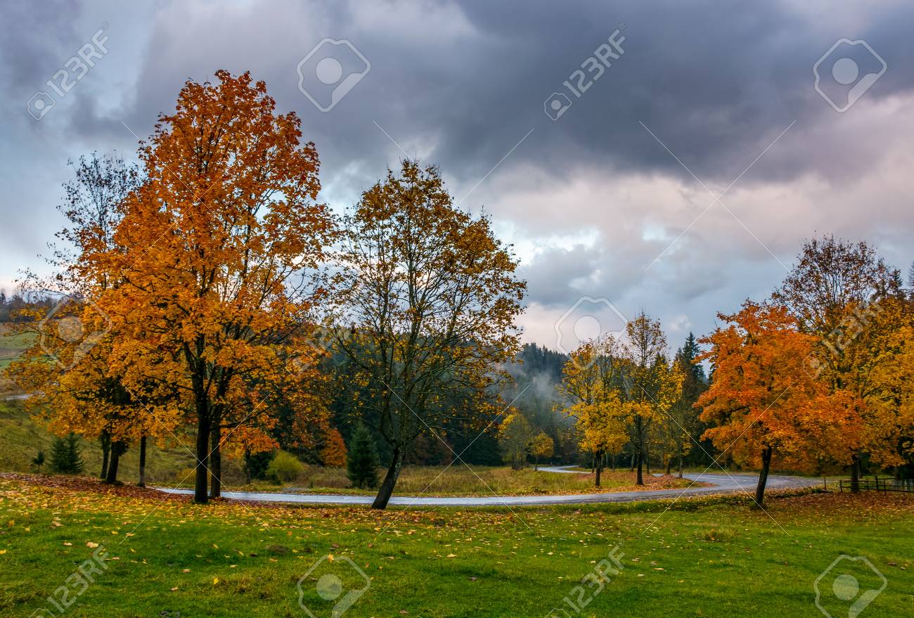 красивые пейзажи природы 
