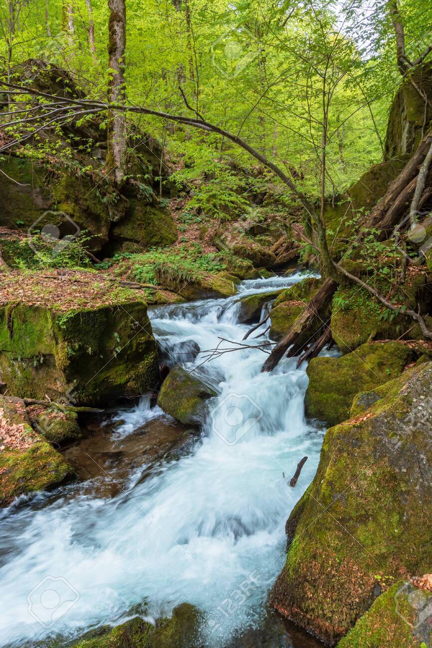 Free Rushing Mountain Stream Image - Stream, Mountain, Water | Download at  StockCake, image size:866x1300