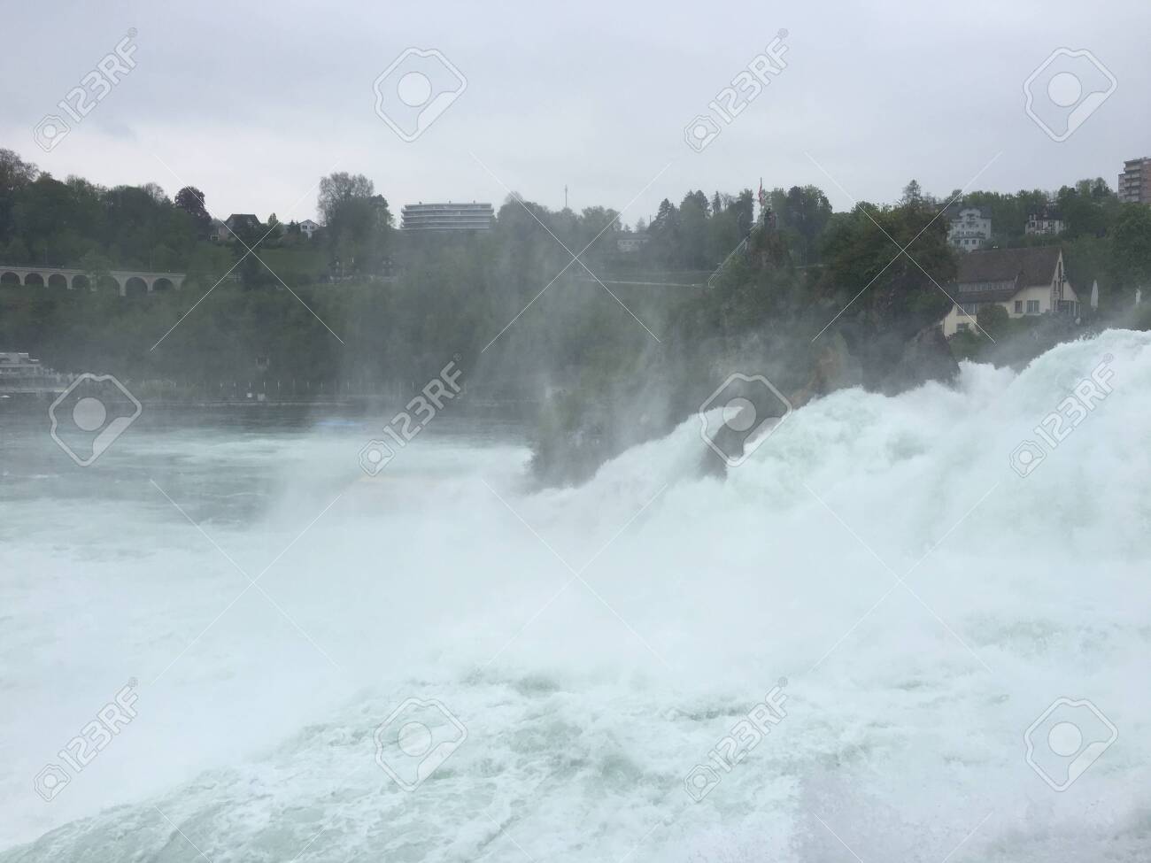 etiam-dictum-ipsum-a-felis