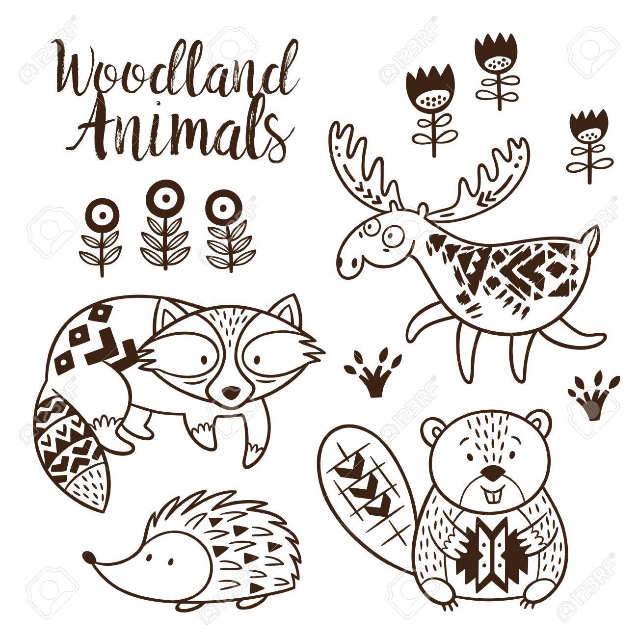 Download Woodland Animal Coloring Pages For Kids Hand Drawn On A White Stock Photo Picture And Royalty Free Image Image 57889603