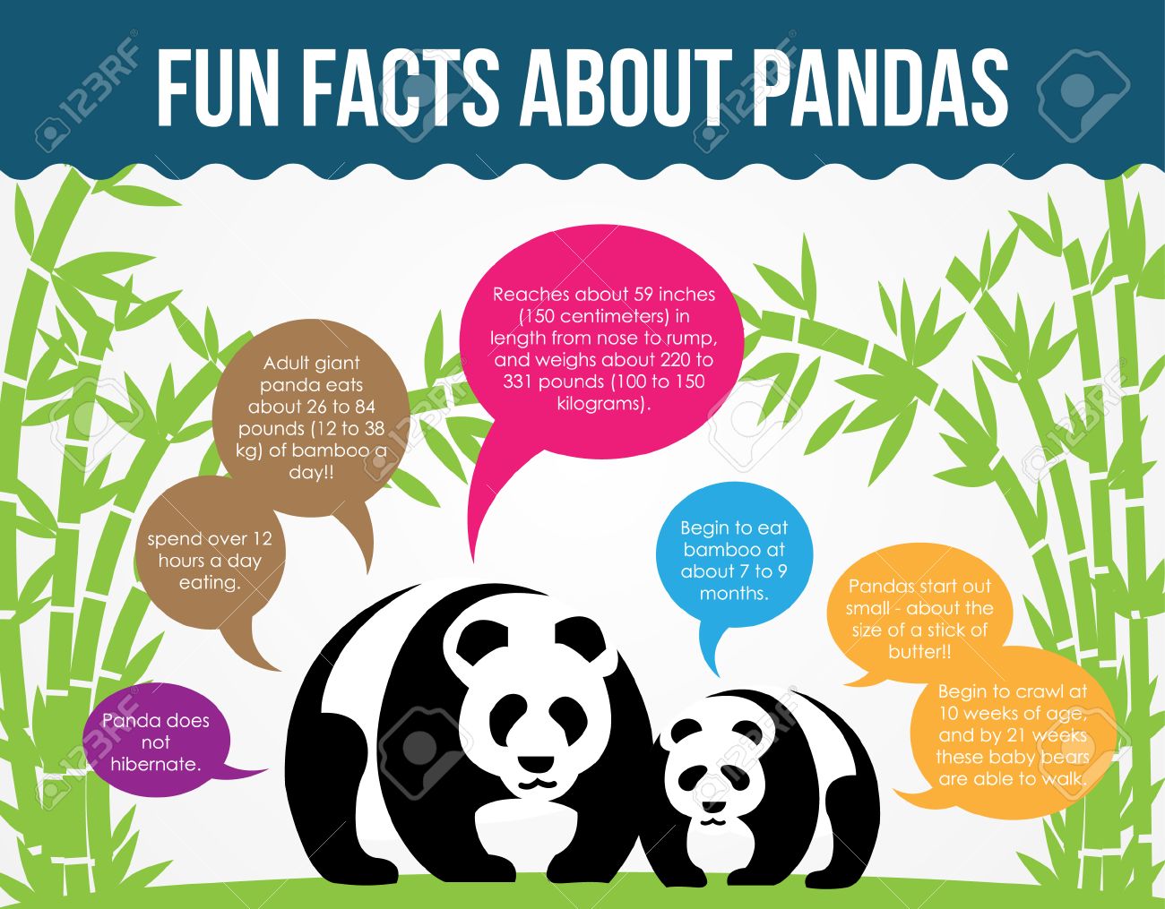Fun Facts About Pandas Royalty Free Cliparts Vectors And Stock Illustration Image 28077017