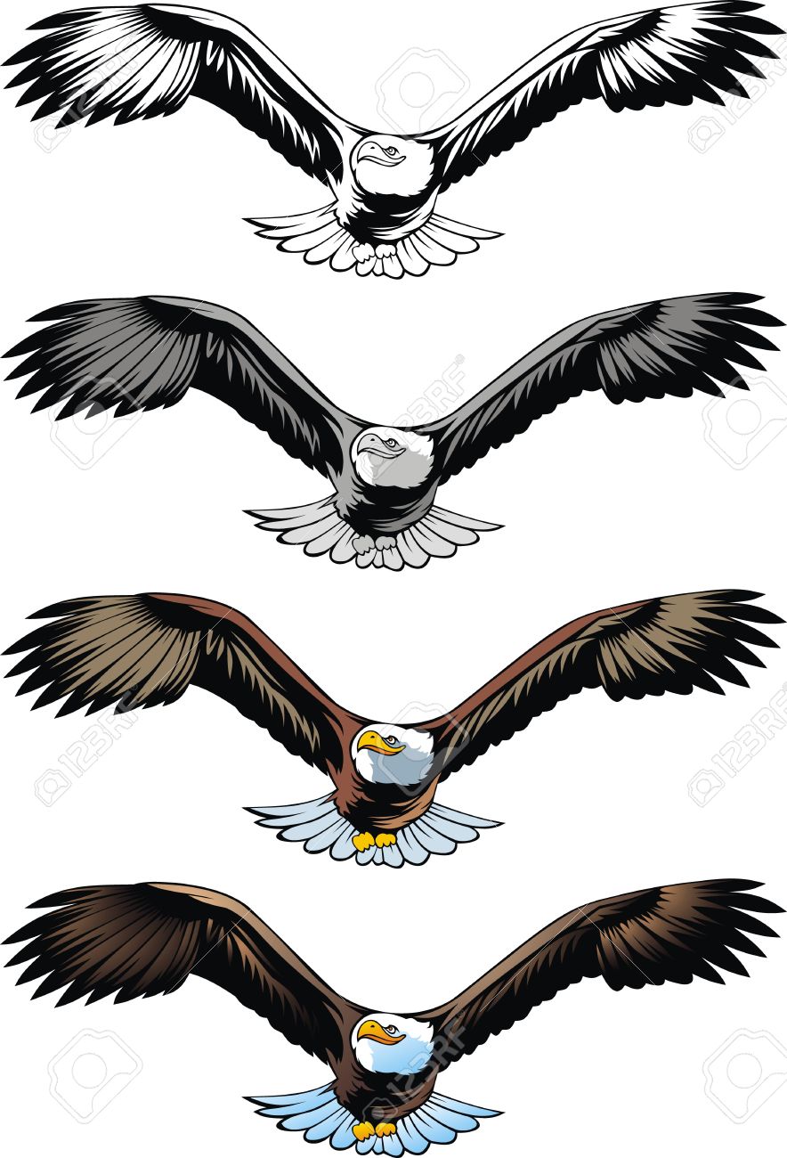 nice flying eagle on