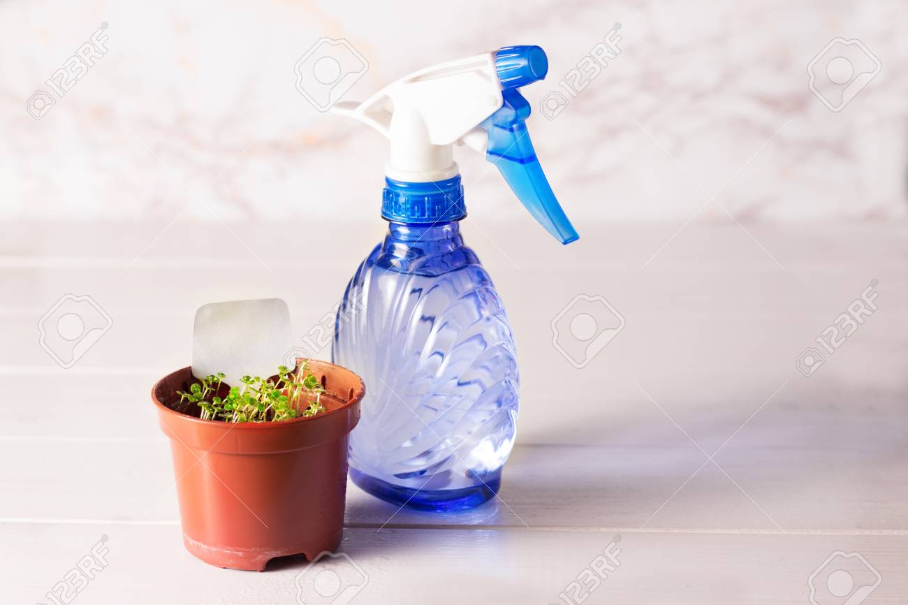 Download Sprueher For Free