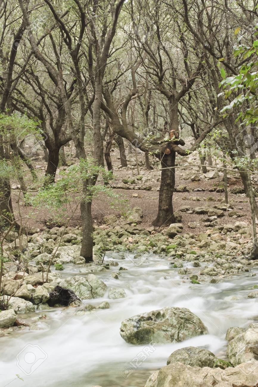 淀んだ水 の写真素材 画像素材 Image