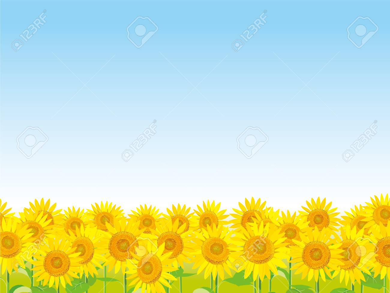 Vector Illustration Wallpaper And Background Landscape Sunflowers Royalty Free Cliparts Vectors And Stock Illustration Image 8065