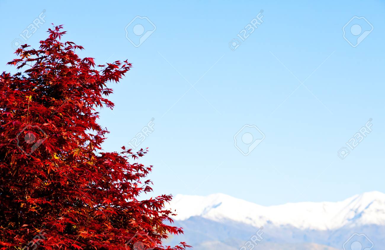 Alpi Italiane Piemonte Su Sfondo Copia Spazio