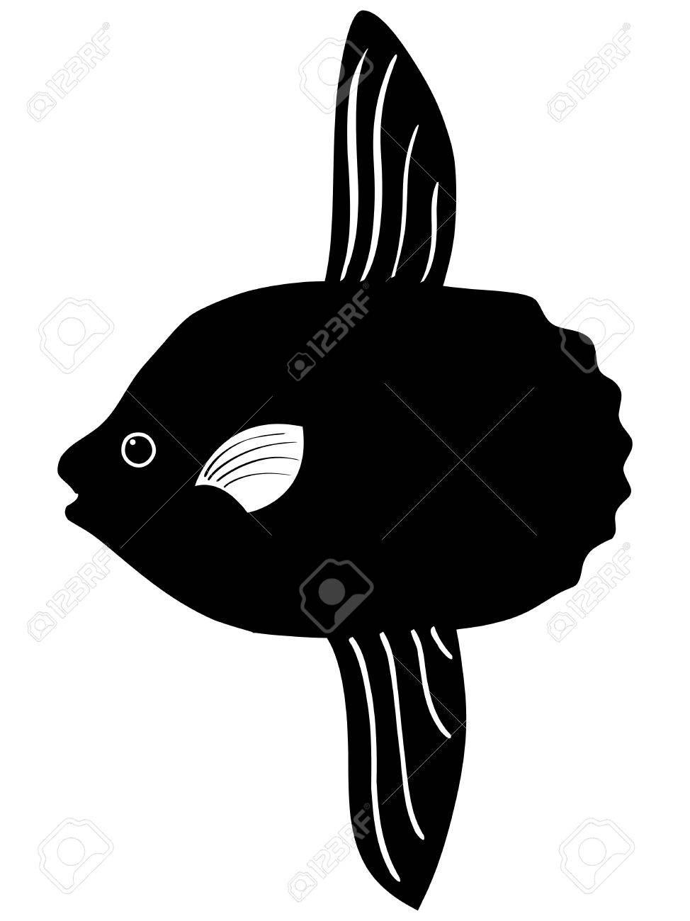 白の背景にマンボウのシルエット のイラスト素材 ベクタ Image 15786542