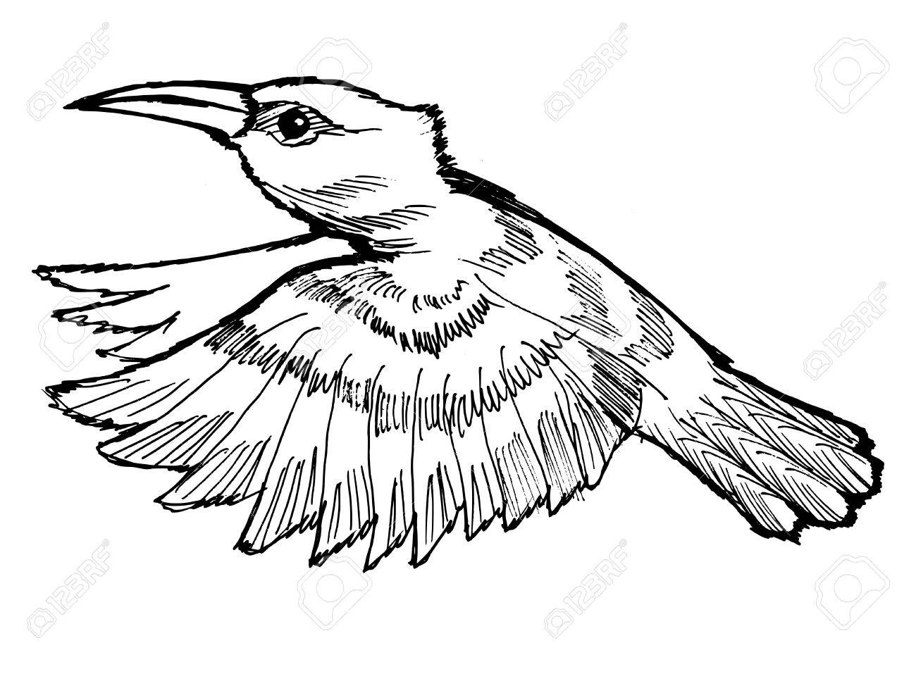 hand drawn cartoon sketch