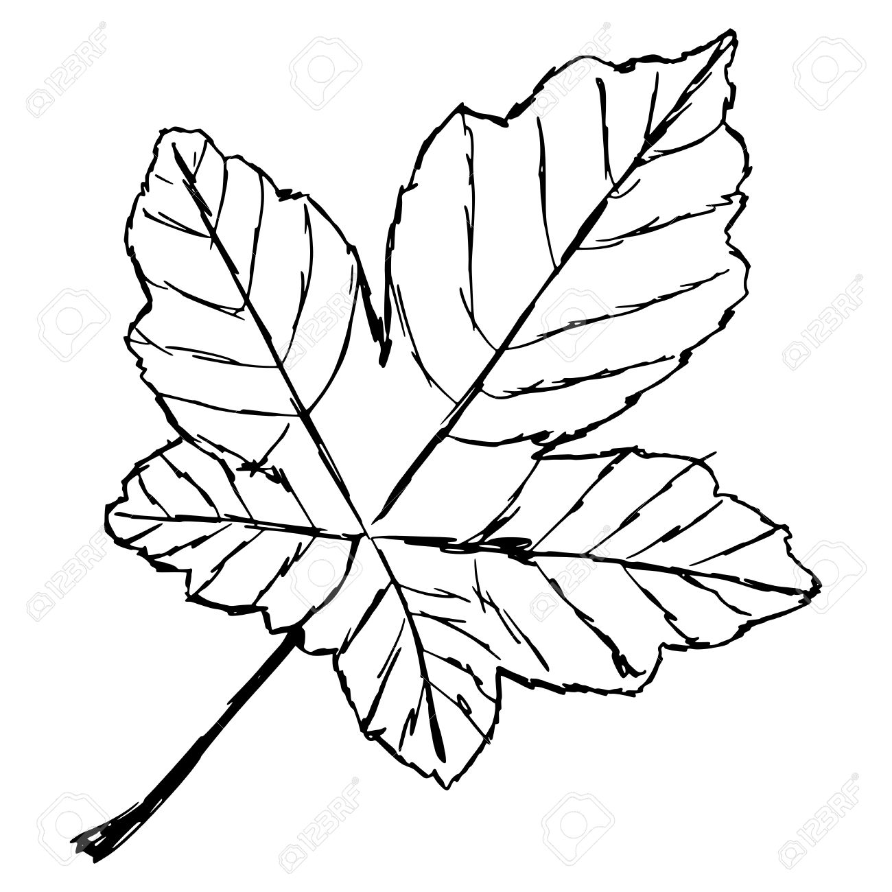 Uncategorized Drawn Leaf hand drawn sketch cartoon illustration of yellow leaf royalty stock vector 28095392