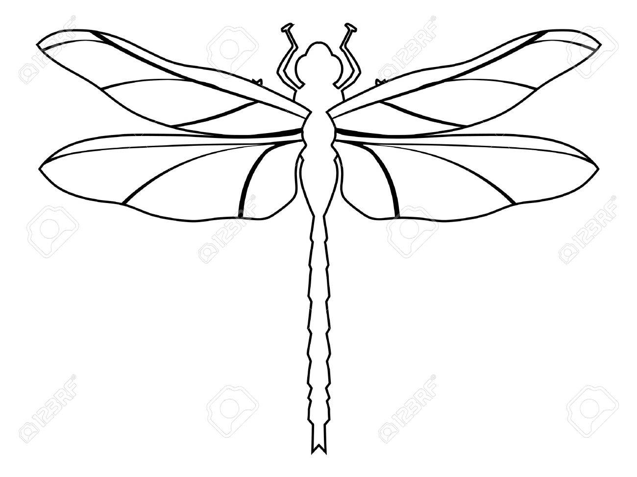 outline illustration of dragonfly