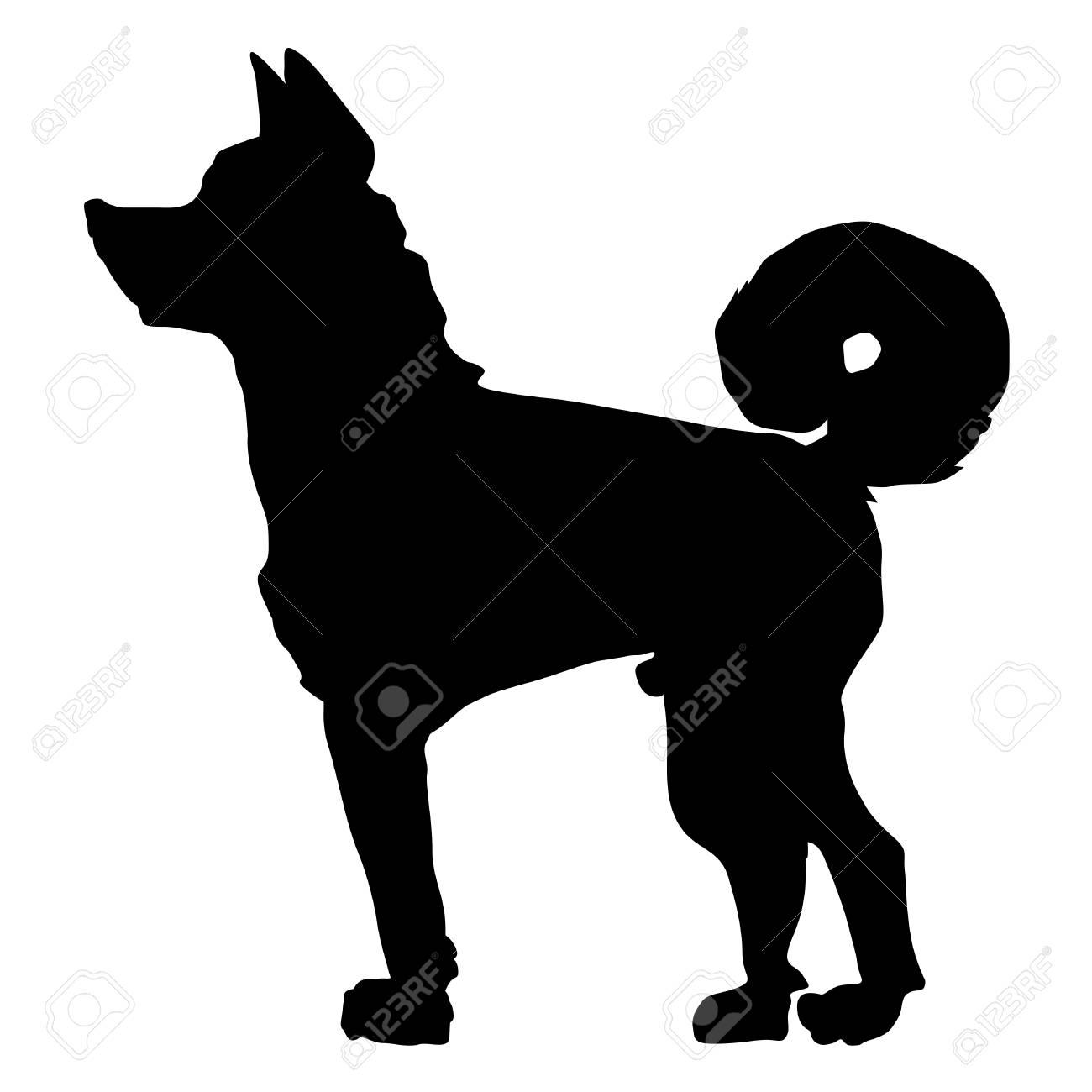 日本の秋田犬のシルエット のイラスト素材 ベクタ Image
