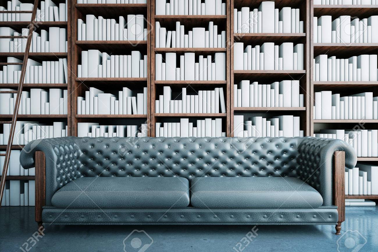 Front View Of Grey Leather Sofa On Bookshelves And Ladder Background.  Library Concept. 3D Rendering Stock Photo, Picture And Royalty Free Image.  Image 64817061.