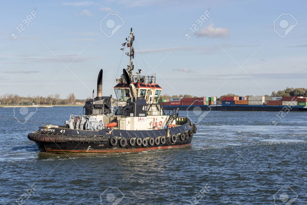 アントワープ港のアントワープ ベルギー 14 年 11 月 9 日 タグボート アントウェルペン 41 の写真素材 画像素材 Image