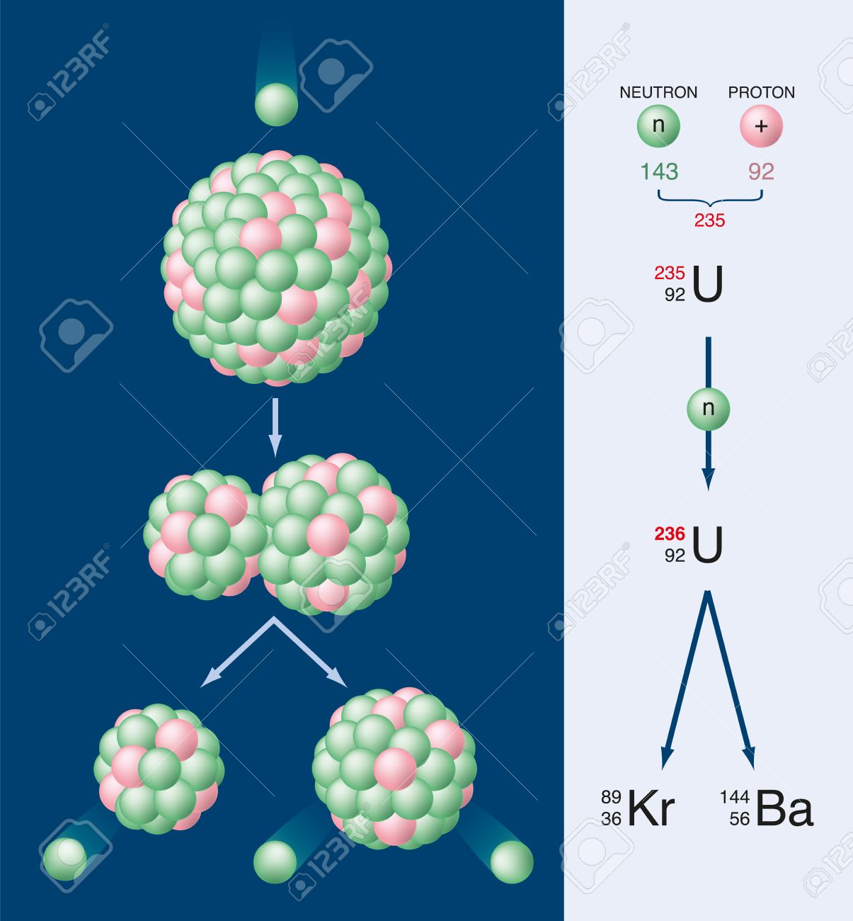 Nuclear Fission Of Uranium 235 Radioactive Decay Process The Nucleus Of An Uranium 235 Atom Splits