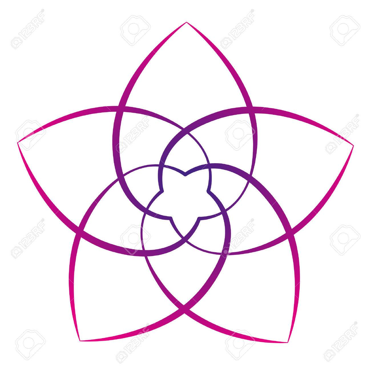 Pink flower of the venus, symbol of love and harmony. Isolated vector illustration on white background. - 31055573 Pink flower of the venus, symbol of love and harmony. Isolated vector illustration on white background. - 31055573