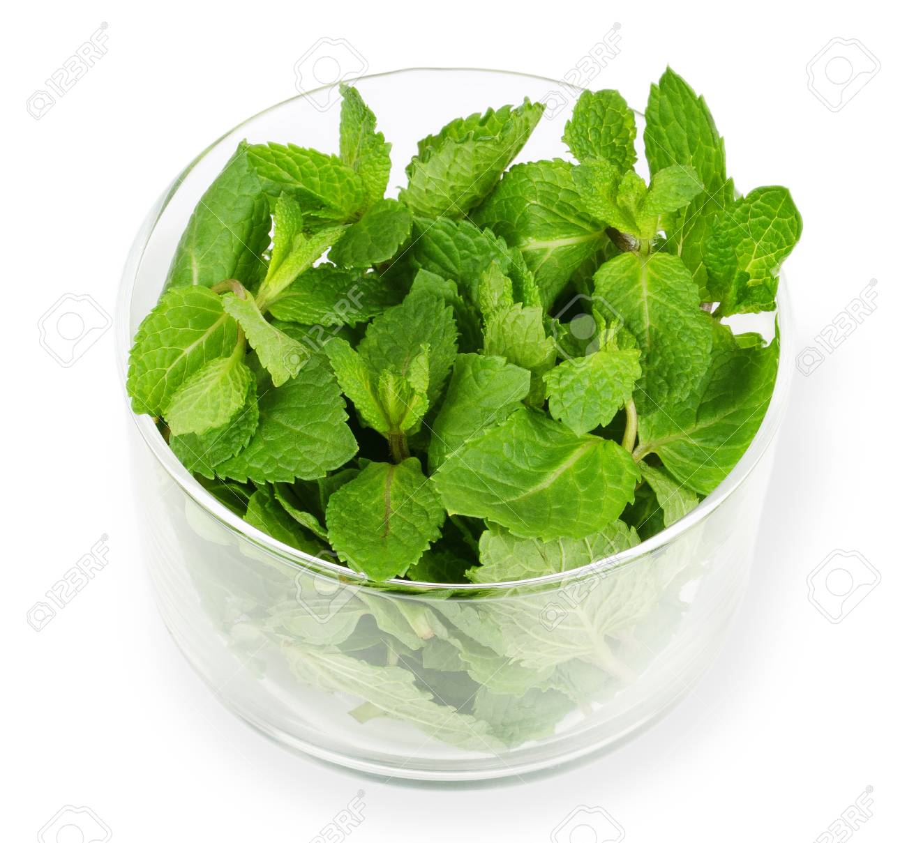 白い背景のガラスのボウルで新鮮なペパーミントを残します グリーン メンタ ピペリタものは食用ハーブ ミント味はアイス クリーム カクテル 歯磨き粉の使用されます 孤立したマクロ料理写真 の写真素材 画像素材 Image