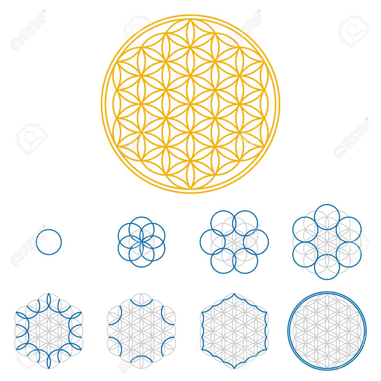 colored flower of life development an ancient symmetrical symbol