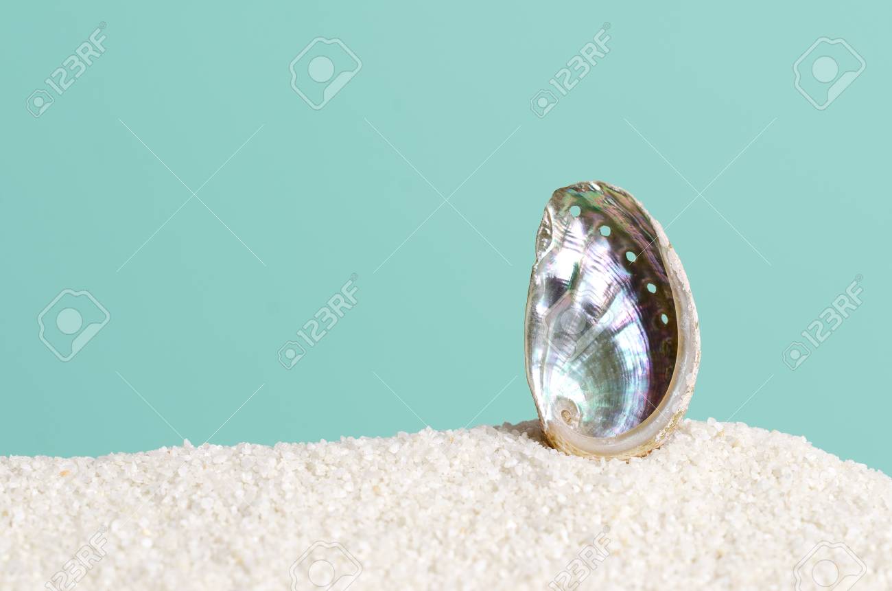 Immagini Stock Coperture Dell Aliotide Sulla Sabbia Bianca Sulla Priorita Bassa Del Turchese Ormer Haliotis Lumaca Di Mare Mollusco Gasteropode Marino Struttura A Spirale Aperta Iridescente Superficie Interna Della Madreperla Con Pori