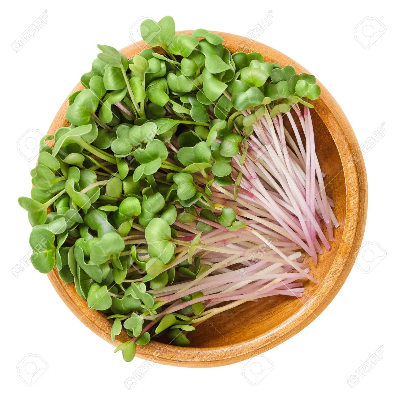 木製のボウルに赤い大根 Microgreens 子葉の Raphanus サティブスは食用の根菜で 主に生食用です 若い植物 苗や芽 マクロ食品の写真は 白以上の上からクローズアップ の写真素材 画像素材 Image 木製のボウルに赤い大根 Microgreens 子葉の Raphanus サティブスは食用の根菜で 主に生食用です 若い植物 苗や芽 マクロ食品の写真は 白以上の上からクローズアップ の写真素材 画像素材 Image