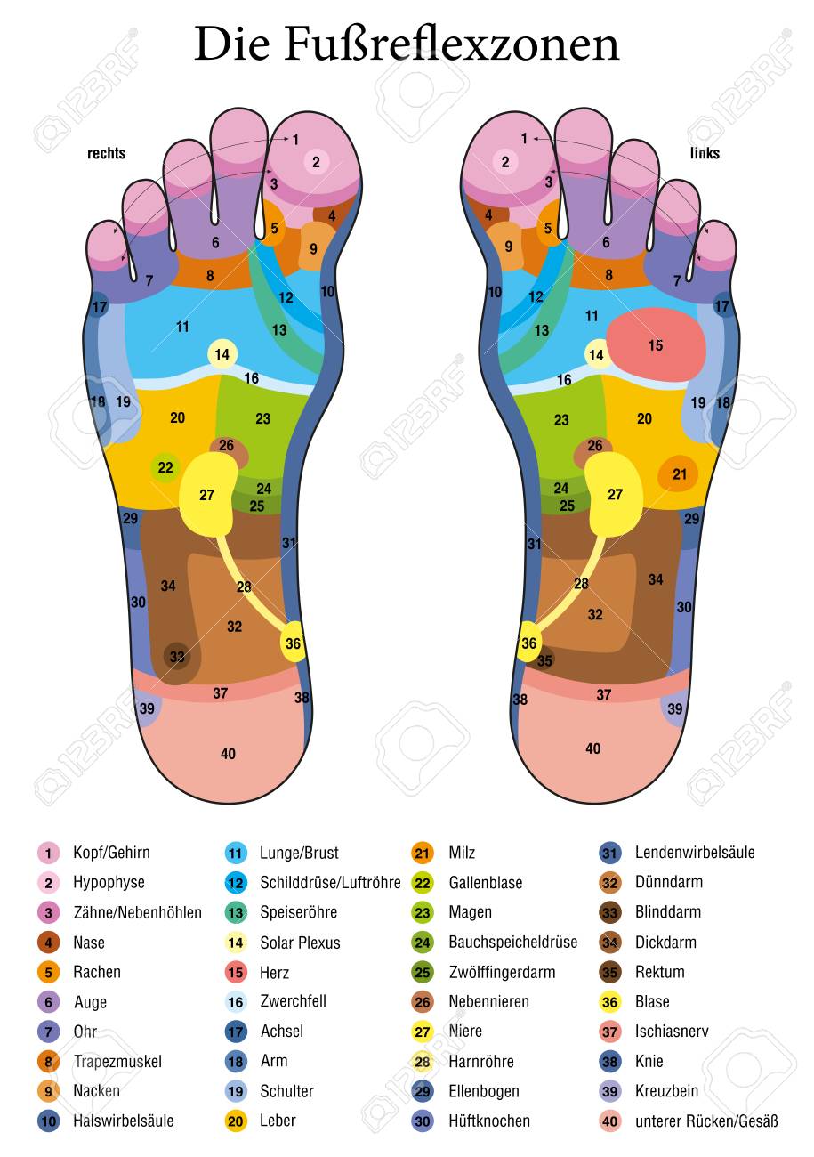 Reflexology Zones Chart