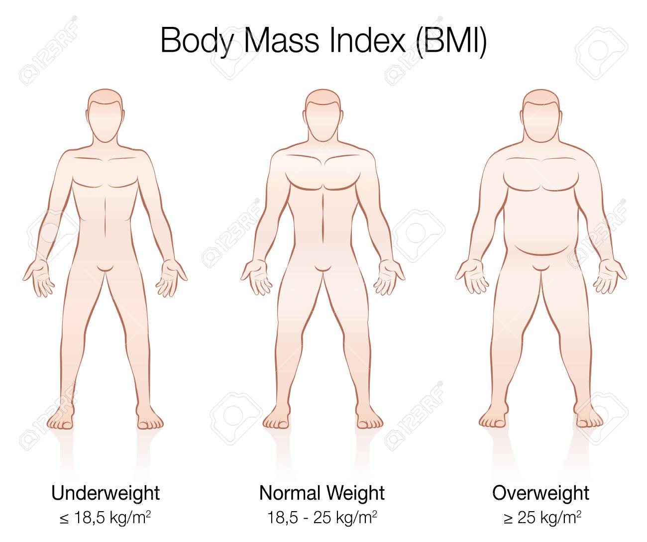 Healthy Weight Range Chart Men