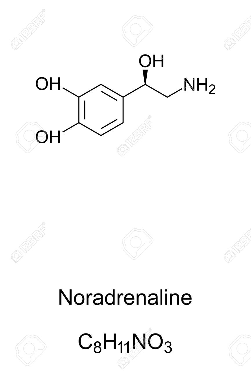 ノルアドレナリン分子、ノルエピネフリン骨格式。C8H11NO3の構造。脳内