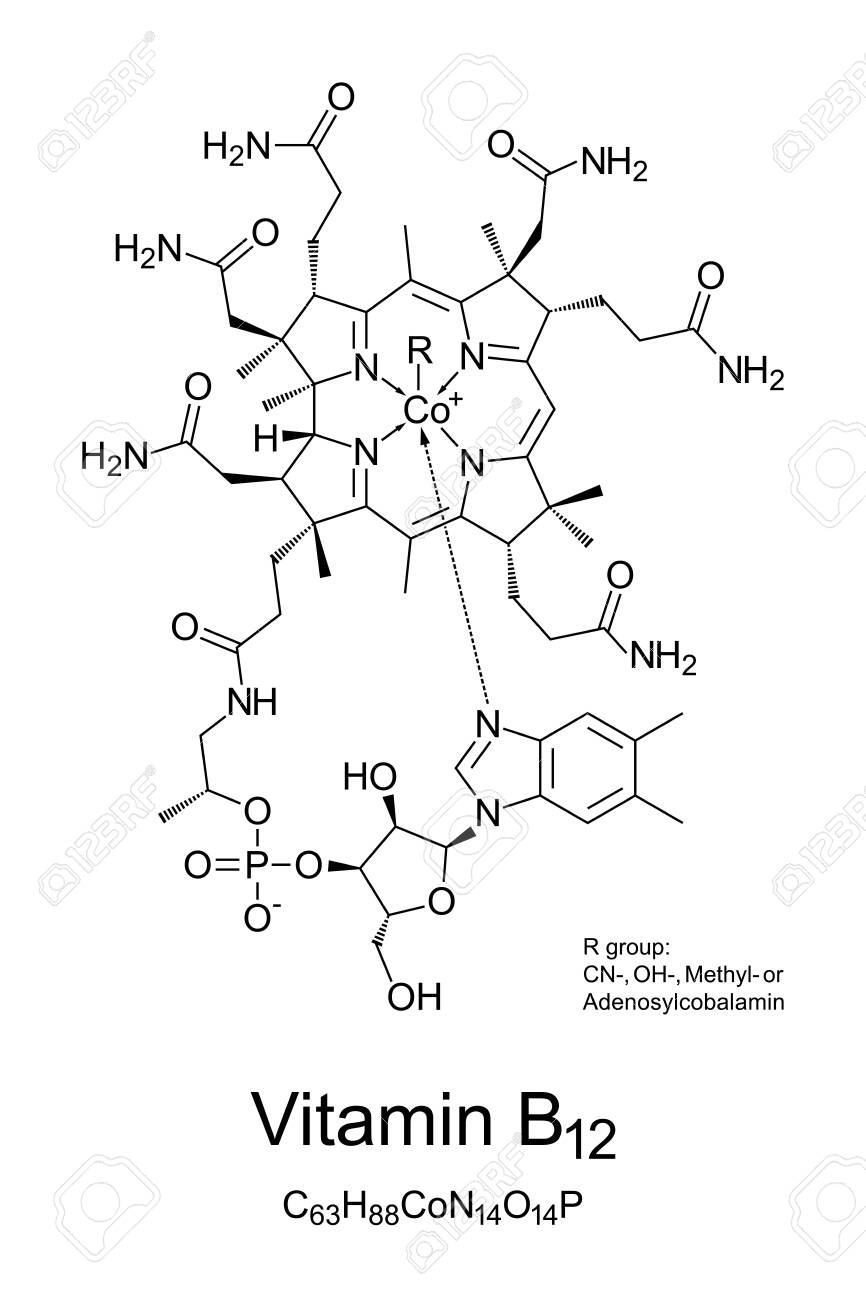Vitamin B12, cobalamin, chemical structure. Involved in metabolism of every cell of the human body: DNA synthesis, functioning of nervous system and developing of red blood cells. Illustration. Vector - 140336151 Vitamin B12, cobalamin, chemical structure. Involved in metabolism of every cell of the human body: DNA synthesis, functioning of nervous system and developing of red blood cells. Illustration. Vector - 140336151