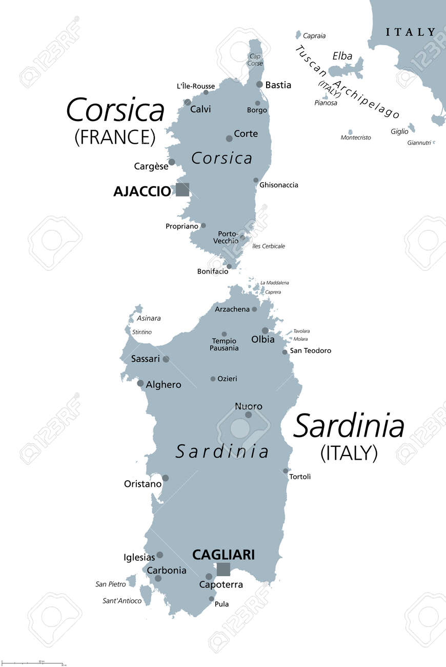 コルシカ島とサルデーニャ島、灰色の政治地図。イタリア半島の西
