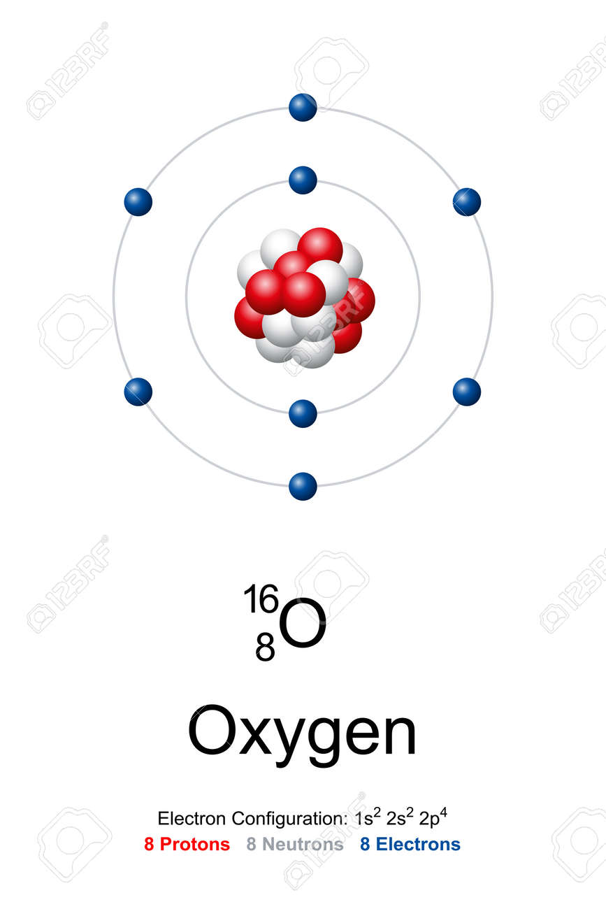 Oxygen, Atom Model. Chemical Element With Symbol O And With Atomic Number  8. Bohr Model Of