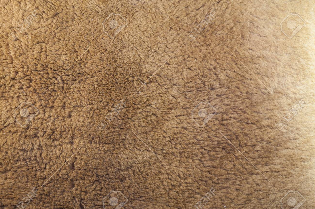 kangaroo leather