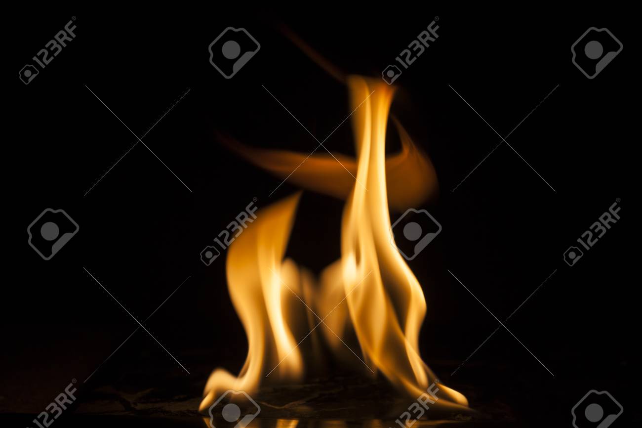 etiam-dictum-ipsum-a-felis