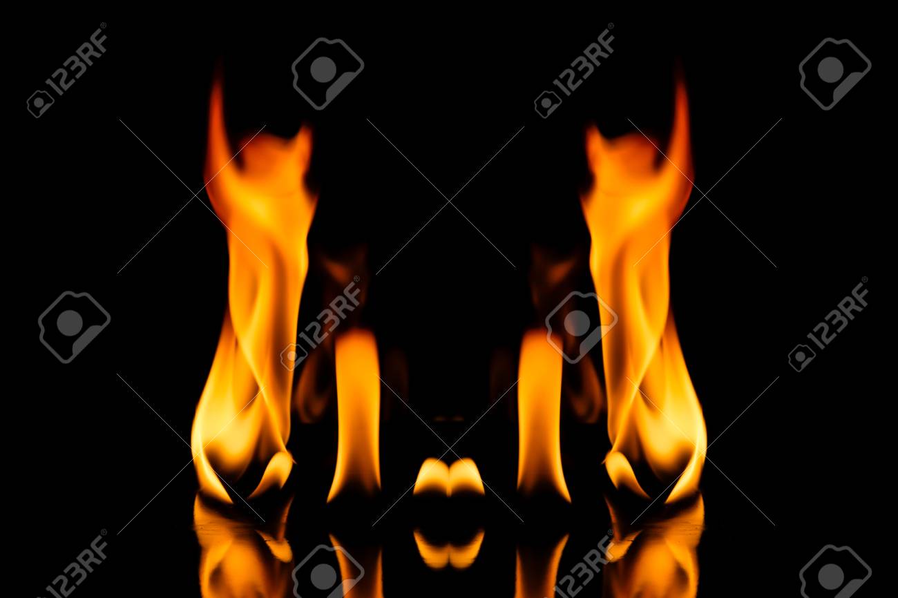 etiam-dictum-ipsum-a-felis