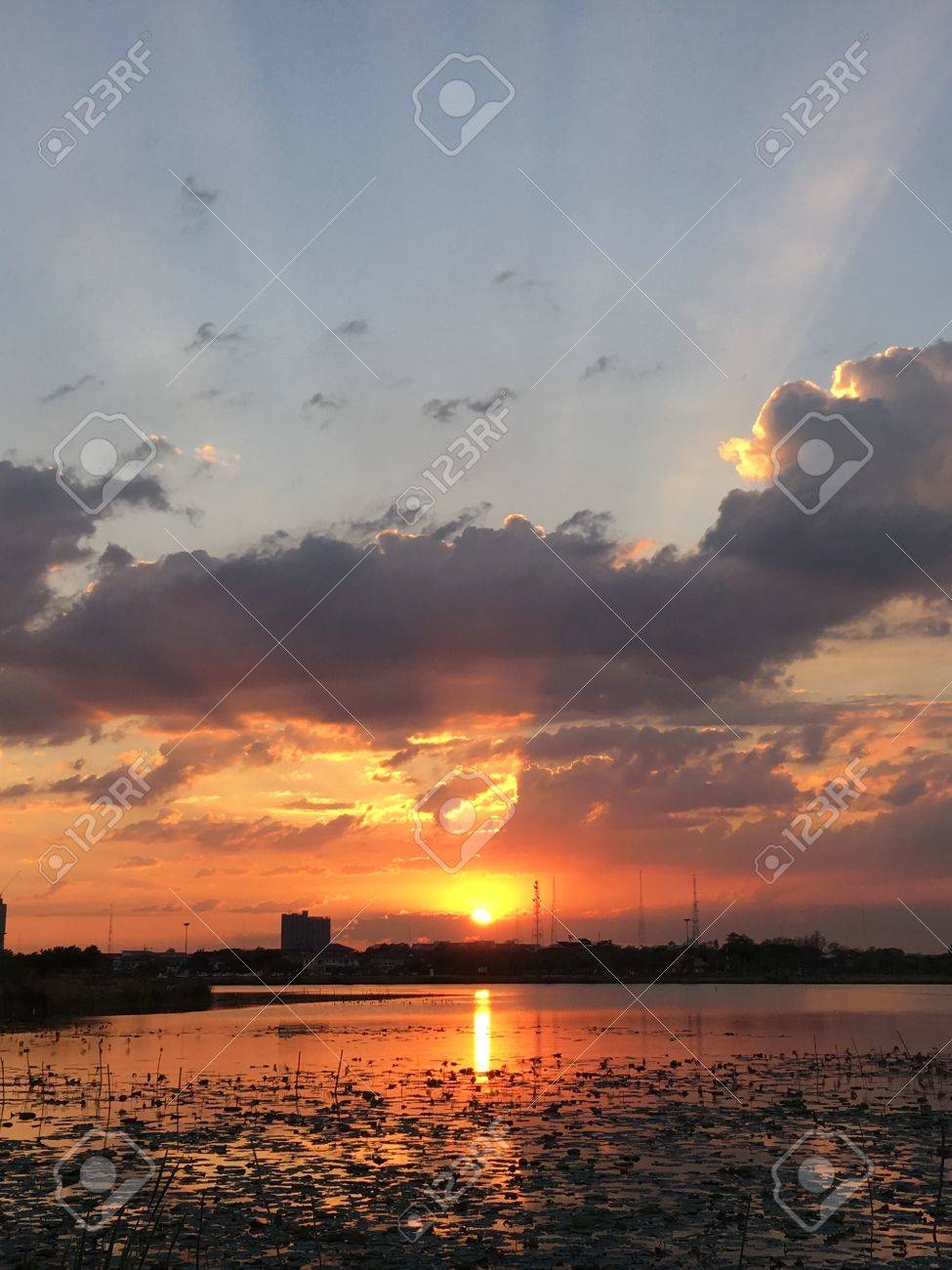 etiam-dictum-ipsum-a-felis