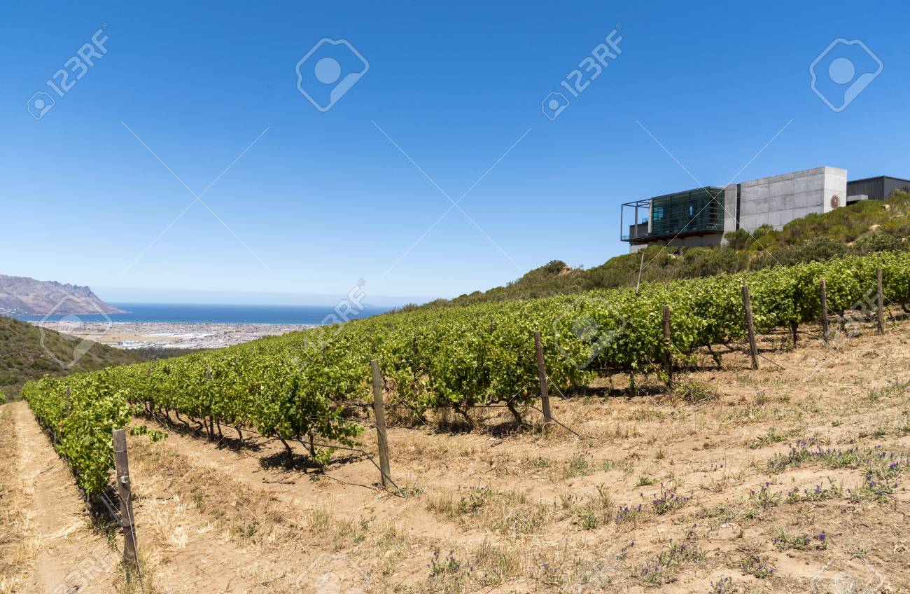 South Africa Waterkloof Wines Restaurant Wine Route Wine Farm