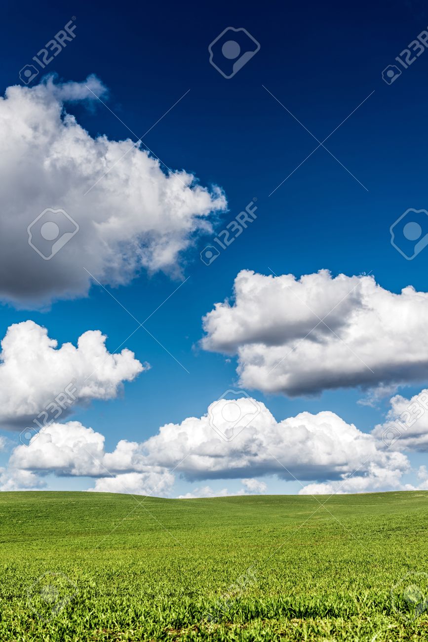 scenic summer butted field