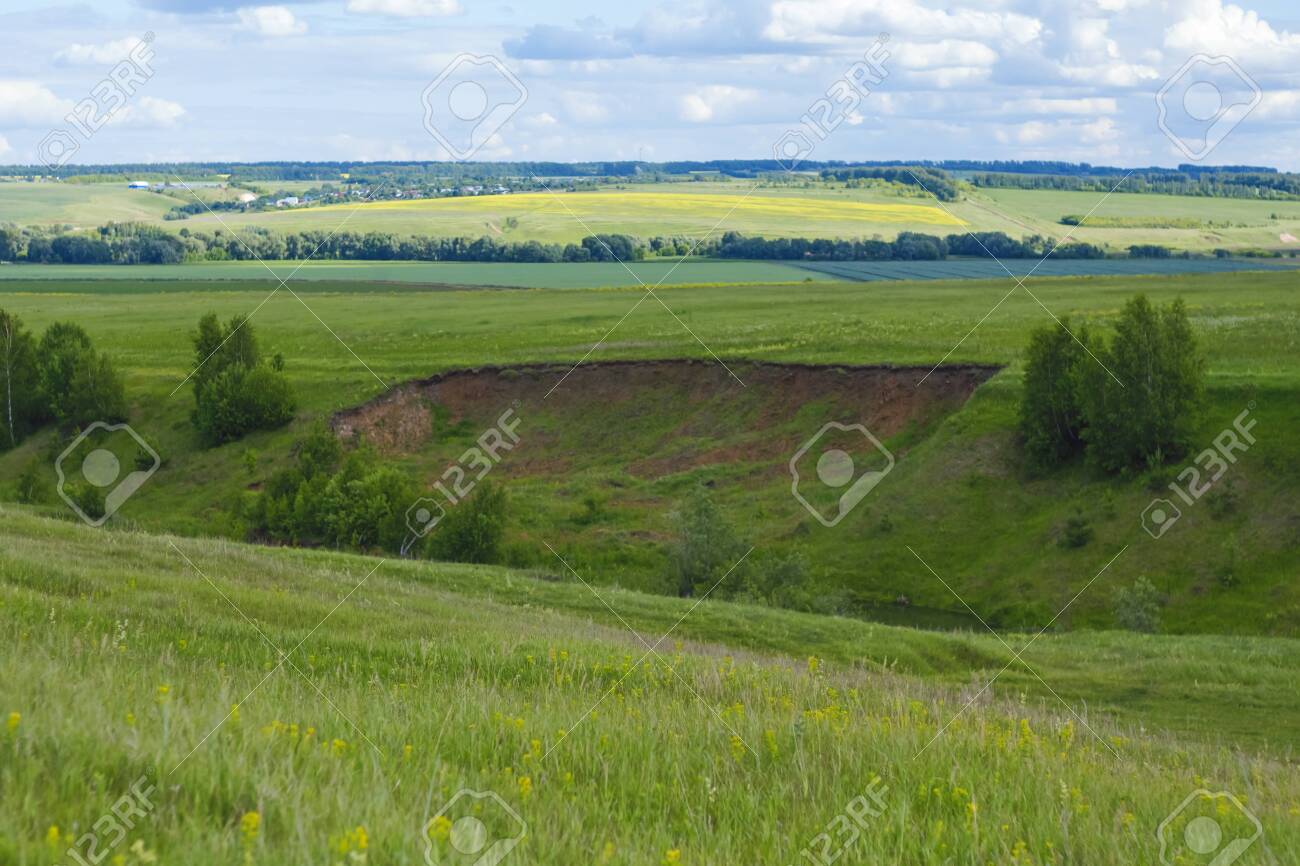 The landscape of the ravine is covered with green plants. In the foreground, yellow flowers, and in the background gentle clouds. - 126038036 The landscape of the ravine is covered with green plants. In the foreground, yellow flowers, and in the background gentle clouds. - 126038036