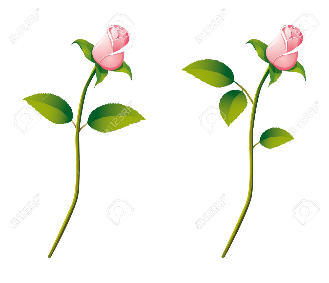 漫画のスタイルで詳細なベクトルのバラの花 のイラスト素材 ベクタ Image