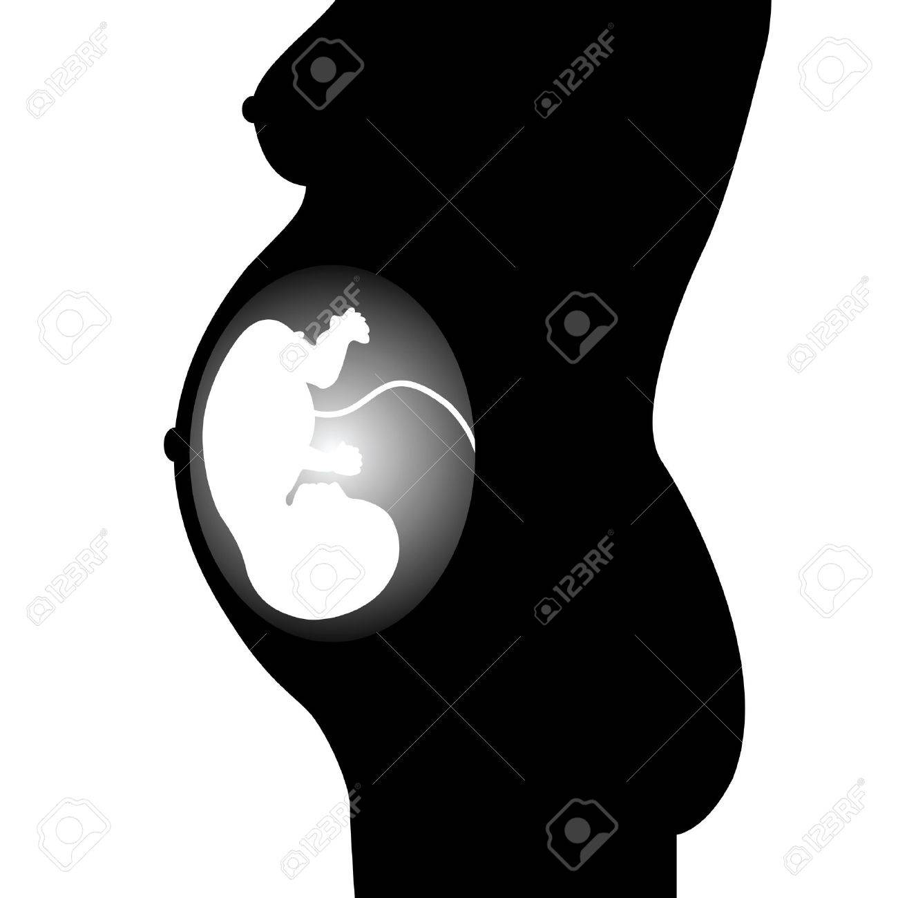 Silhouette Of The Fetus On A White Background Royalty Free Cliparts Vectors And Stock Illustration Image Silhouette Of The Fetus On A White Background Royalty Free Cliparts Vectors And Stock Illustration Image