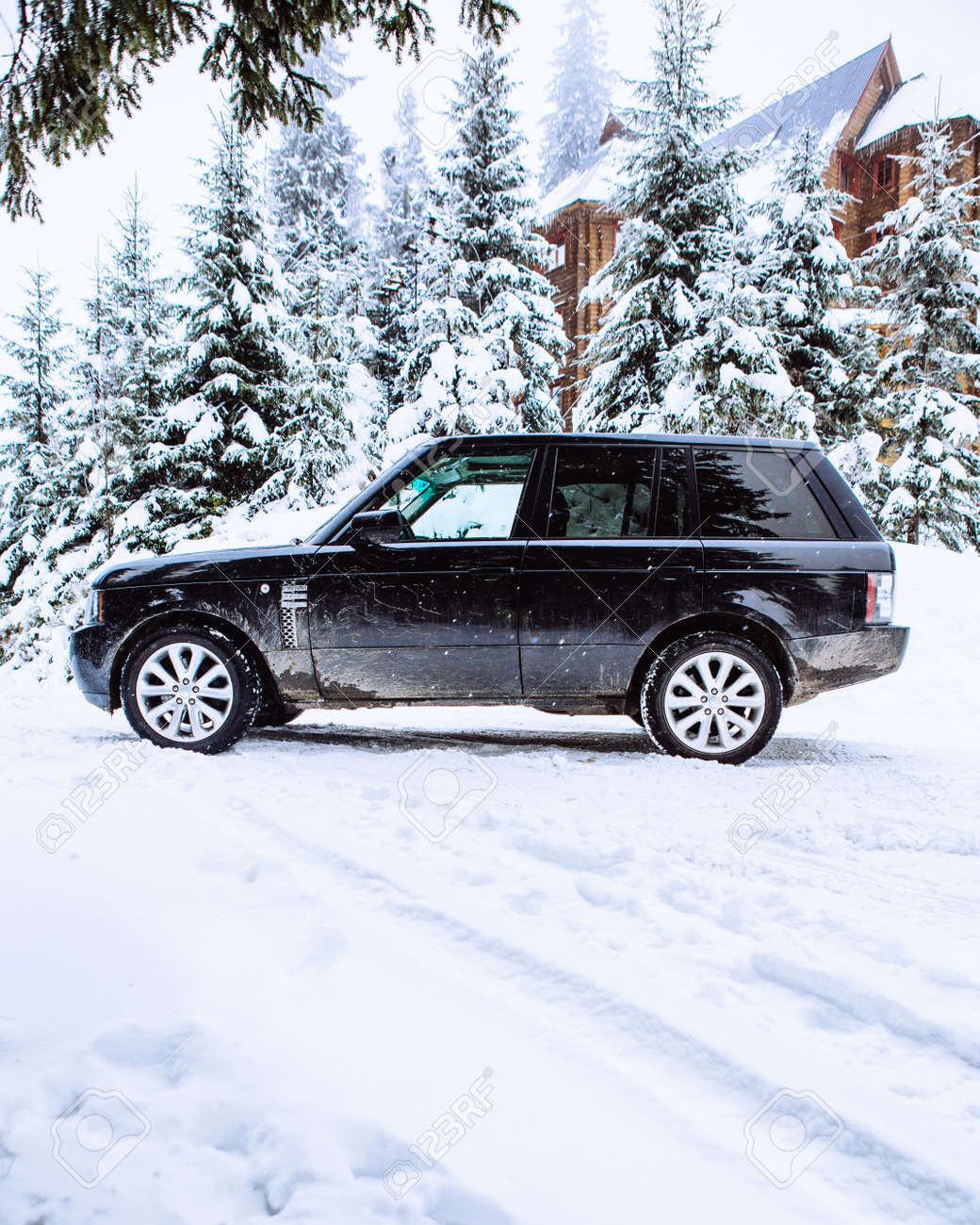 etiam-dictum-ipsum-a-felis