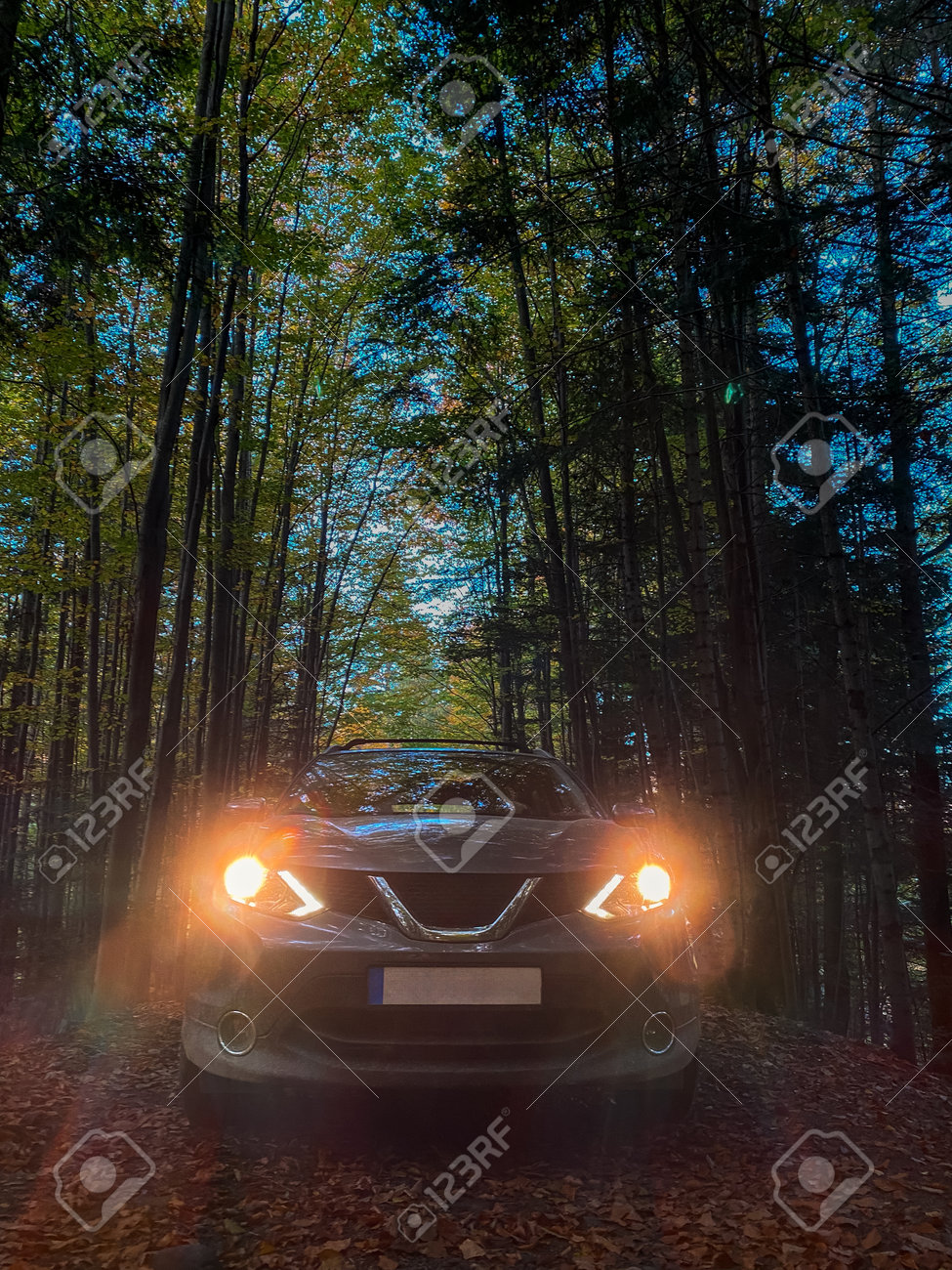 etiam-dictum-ipsum-a-felis