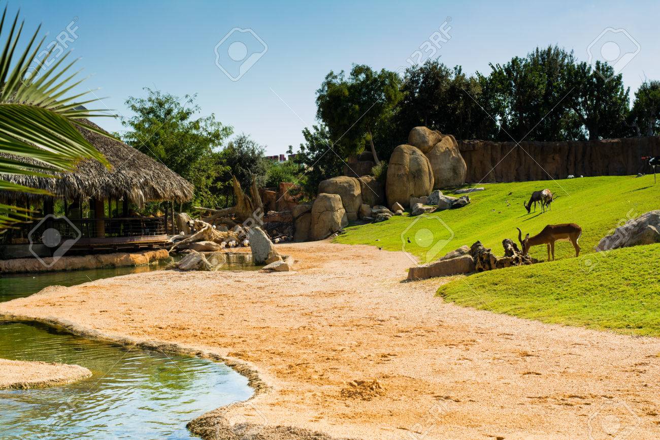 バック グラウンドでわらの屋根と素朴な木造住宅との日当たりの良い夏の暑い日に 癒される緑の草の芝生 砂 水 動物と大きな鳥小屋の風景 の写真素材 画像素材 Image