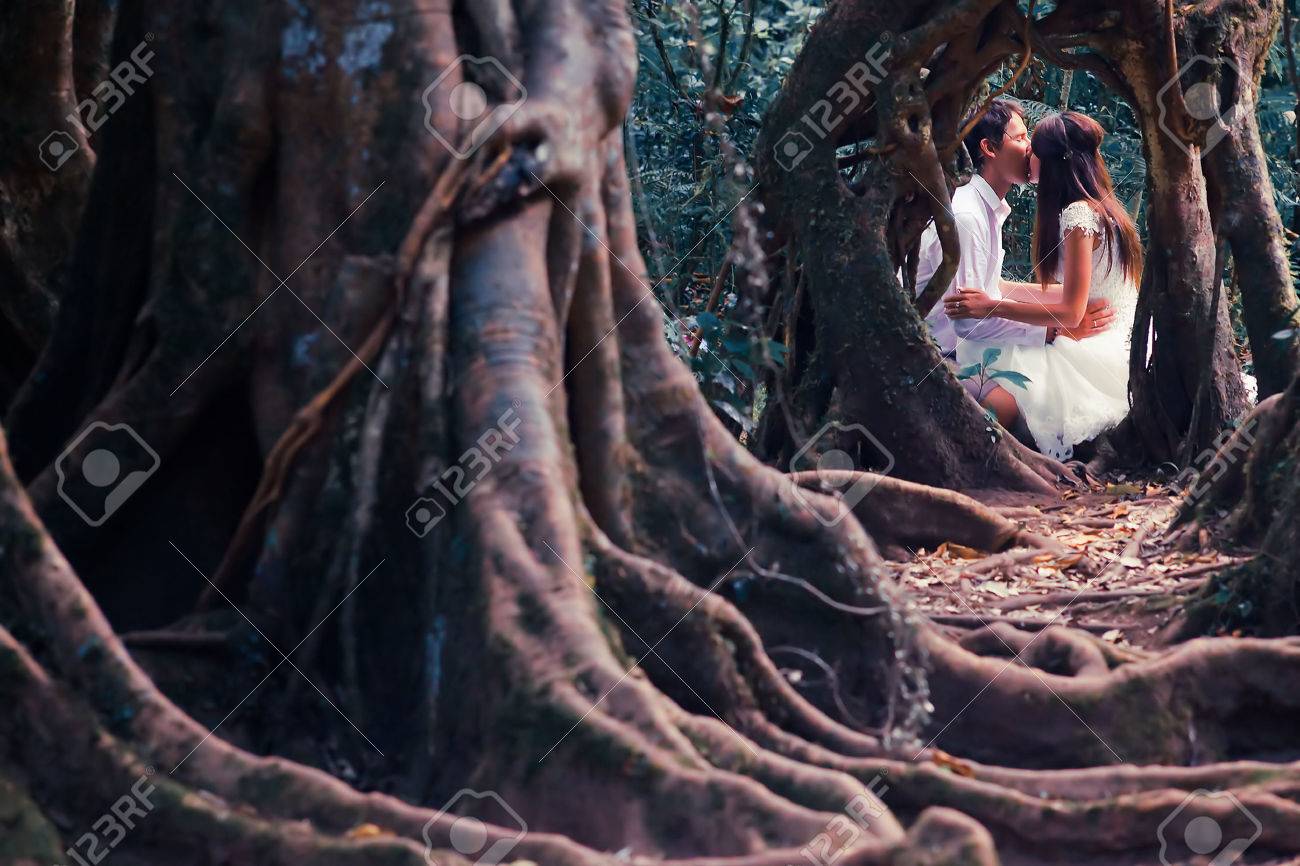 神秘的な妖精の森で結婚式のカップル の写真素材 画像素材 Image